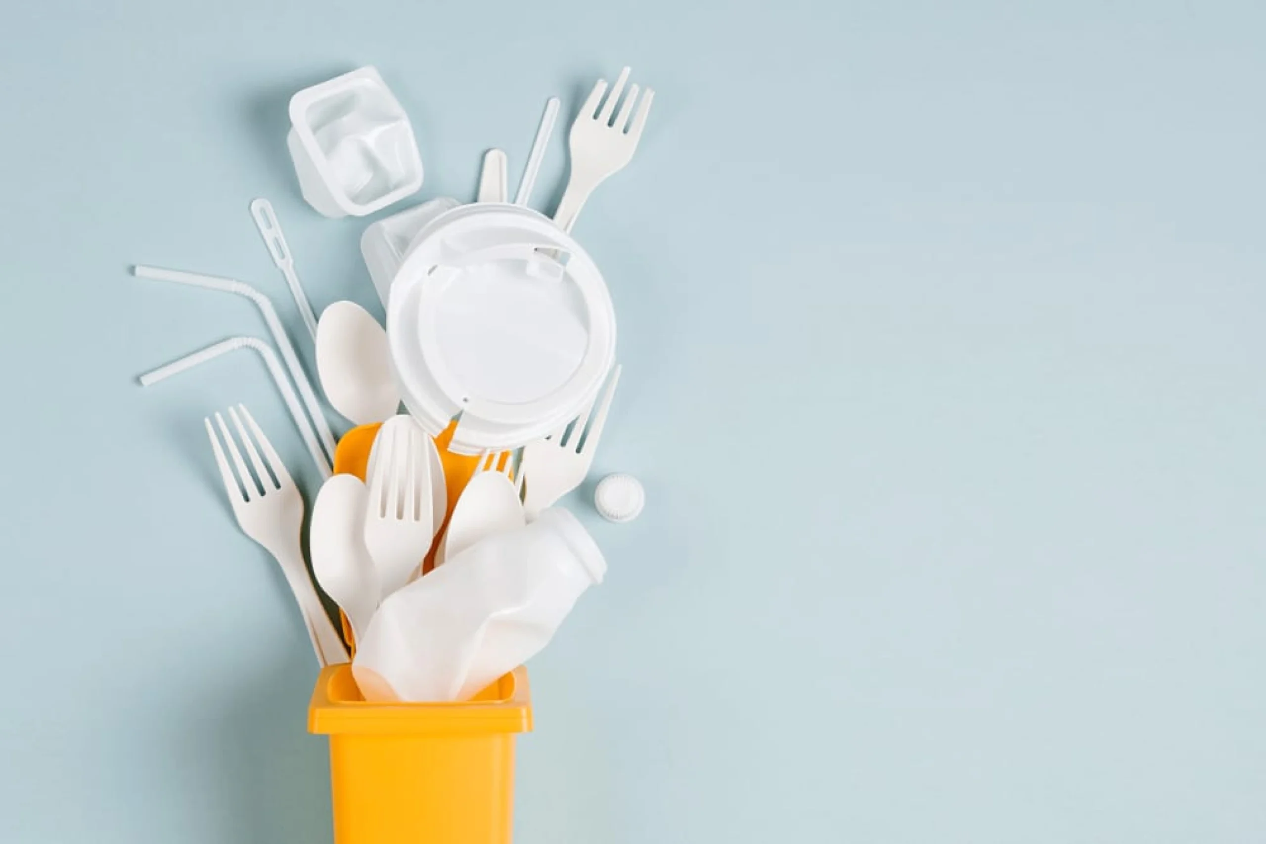 Responsabilidad Extendida del Productor: Chile y California en una misma dirección para prevenir la contaminación por plástico