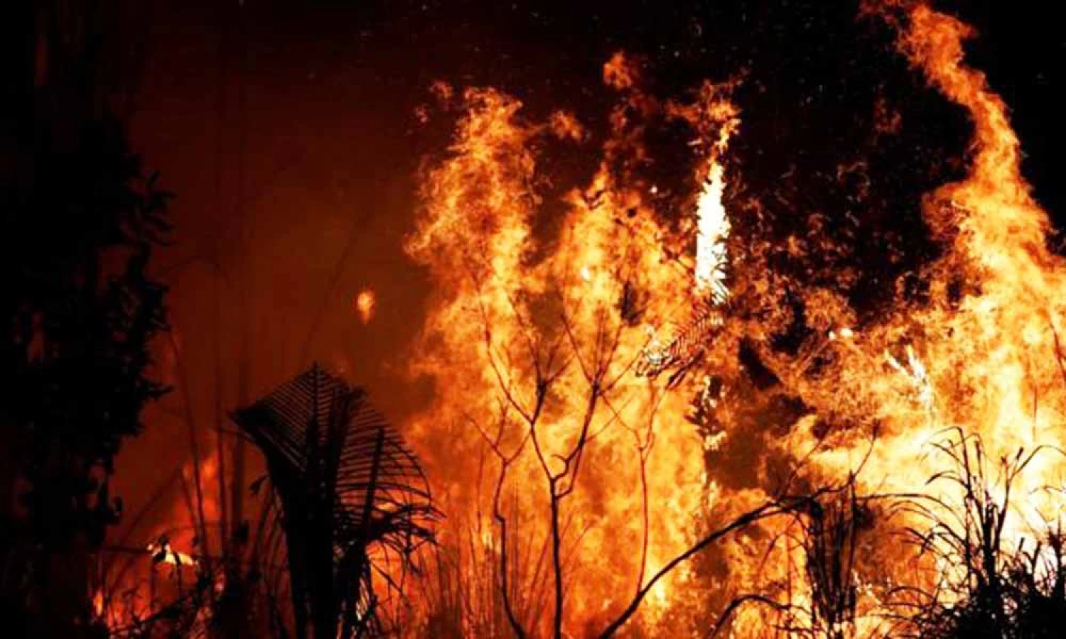 California comparte guía para prevenir y combatir incendios