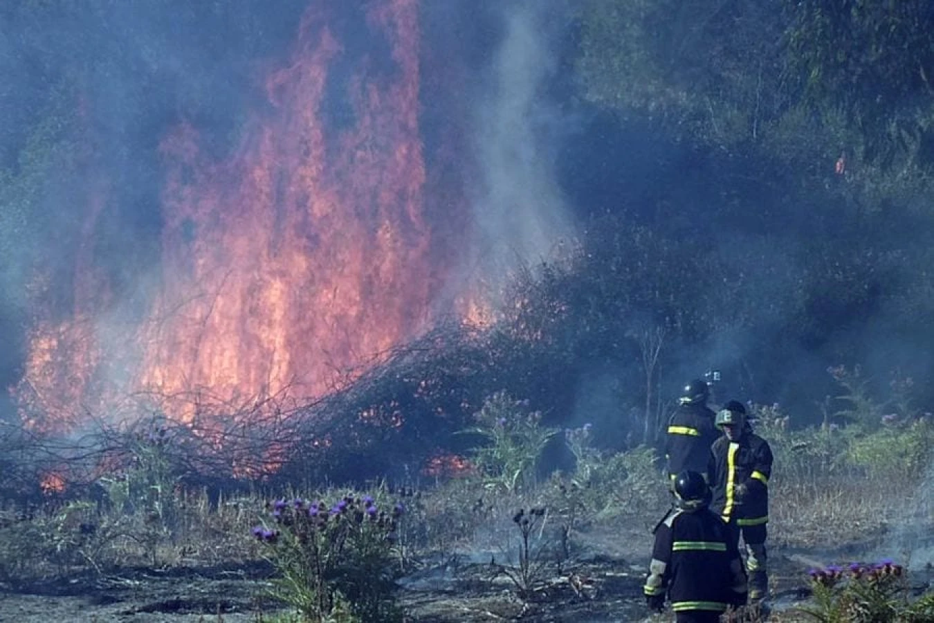 Megaincendios son responsables del 90% del CO2 emitido en un año en el país